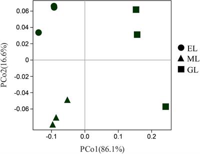 Effects of Land Use on the Soil Microbial Community in the Songnen Grassland of Northeast China